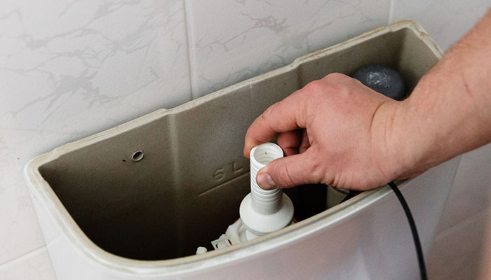 Plumber - toilet repair and replacement in Ayr